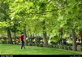 پارک ها در روزهای کرونایی