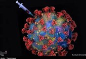 Don&apos;t Let Patent Rows Hamper Search for Coronavirus Vaccine: UN