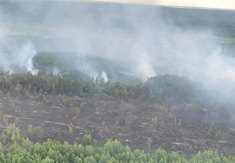آتش‌سوزی در اراضی منابع طبیعی استان بوشهر بیش از 400 درصد کاهش یافت