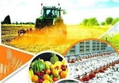  امنیت غذایی پایدار و صیانت از منابع طبیعی، ۲ راهبرد اساسی کشاورزی در گام دوم انقلاب 