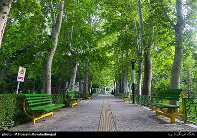 حال و هوای بهاری در شهر تهران