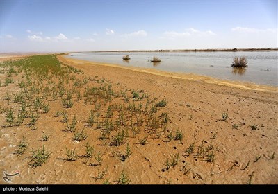 تالاب گاوخونی اصفهان