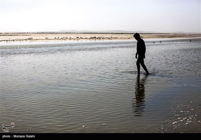 تالاب گاوخونی اصفهان