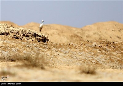 تالاب گاوخونی اصفهان