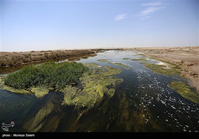  سازماندهی تالاب گاوخونی هدف ستاد احیای زاینده‌رود 