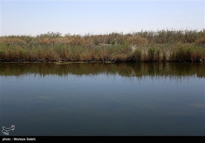 تالاب گاوخونی اصفهان
