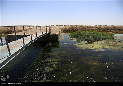 تالاب گاوخونی اصفهان
