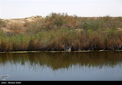 تالاب گاوخونی اصفهان