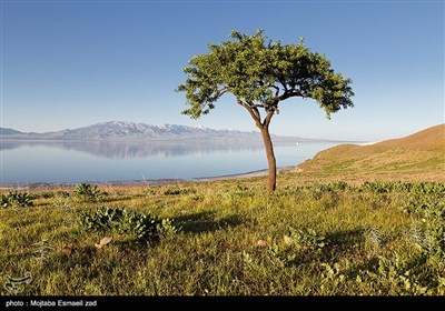 روزهای بهاری دریاچه ارومیه
