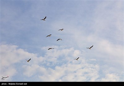 روزهای بهاری دریاچه ارومیه