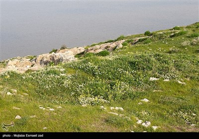 روزهای بهاری دریاچه ارومیه