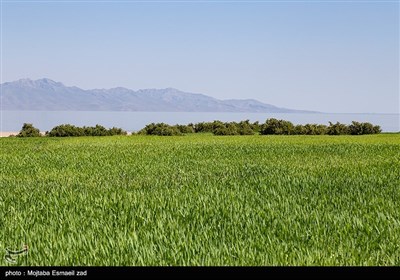 روزهای بهاری دریاچه ارومیه