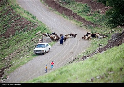  روستای میرمینگه - کرمانشاه
