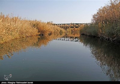 سنندج،شهر،هفته،فرهنگي،روز،پروژه،شهرداري،يونسكو،شهردار،جمله،ر ...