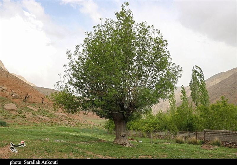 استان کرمان , زندگی روستایی , گردشگری سلامت , 