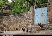 کرمانشاه| خدمات و بودجه‌های عمرانی روستاهای برگزارکننده مراسمات جمعی قطع می‌شود