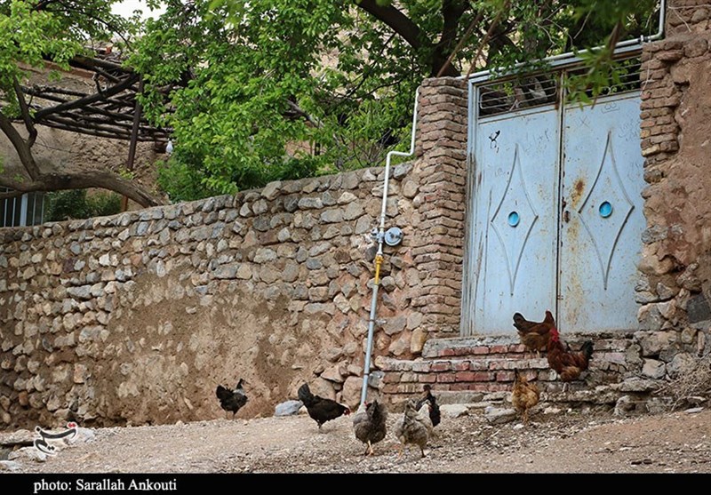 استان کرمان , زندگی روستایی , گردشگری سلامت , 
