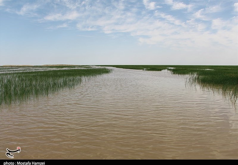بزرگترین دریاچه آب شیرین فلات ایران در آستانه خشک شدن!