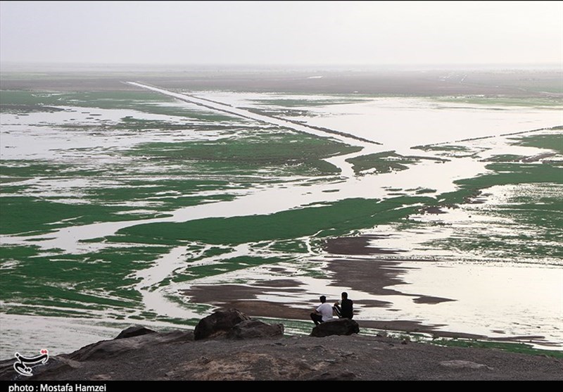 گزارش|‌ بزرگ‌ترین دریاچه آب شیرین ایران زنده شد / جان تازه باران به ‌تالاب خشک «هامون» + تصاویر