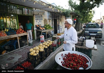 گمیشان در وضعیت سفید