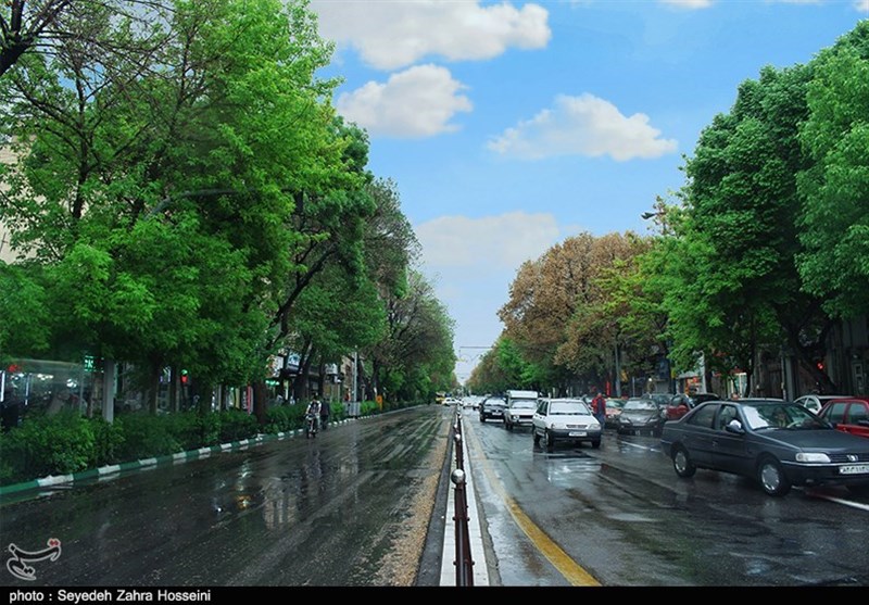 طراوت باران در یک روز بهاری تبریز به روایت تصویر