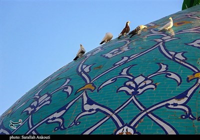  کدام مناطق تهران بیشترین امامزادگان را در خود جای داده است؟ 