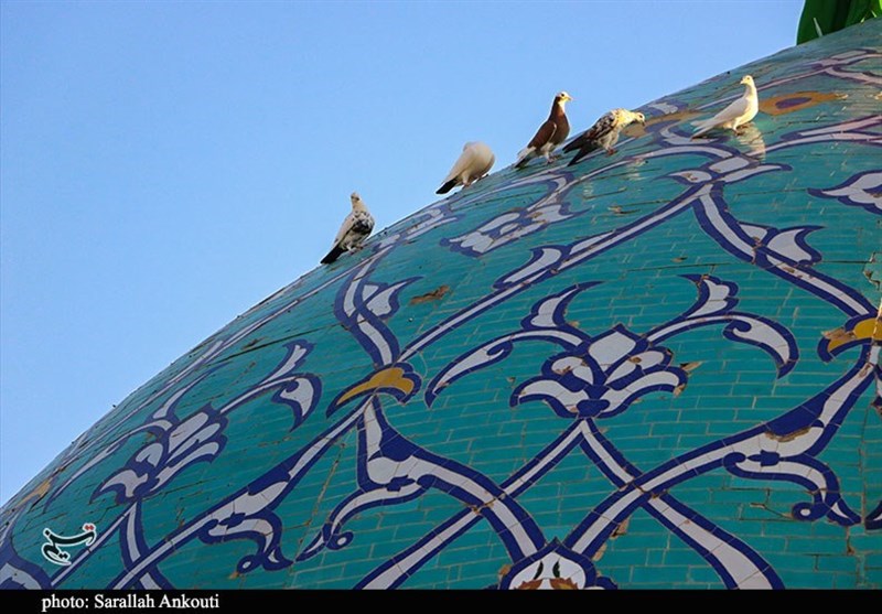 کدام مناطق تهران بیشترین امامزادگان را در خود جای داده است؟