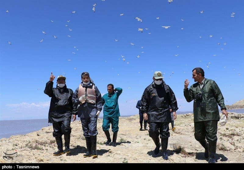 بازدید استاندار آذربایجان غربی از جزایر پارک ملی دریاچه ارومیه به روایت تصویر