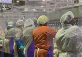 ابتلای بیش از 1000 کارگر یک کارخانه تولید گوشت در آمریکا به ویروس کرونا!