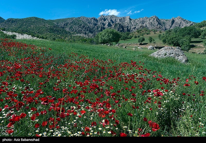 مهراب کوه - لرستان