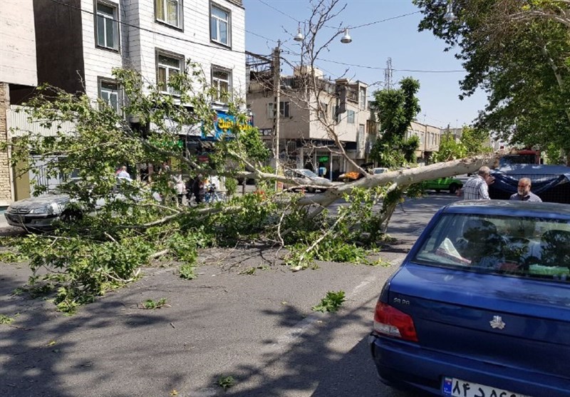 وزش شدید باد در شیراز یک کشته و 2 زخمی برجای گذاشت