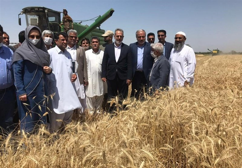 وزیر جهاد کشاورزی از ظرفیت‌های کشاورزی بلوچستان بازدید کرد