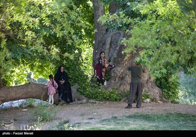 بازگشایی طاق بستان پس از شیوع کرونا - کرمانشاه