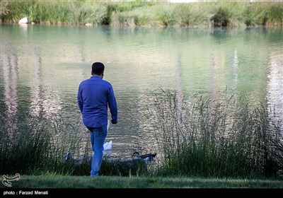 بازگشایی طاق بستان پس از شیوع کرونا - کرمانشاه