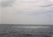 گزارش| کشف پدیده‌ای نو در خلیج عمان / چرا آب دریا ‌دو رنگ شد + فیلم