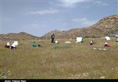 ادامه پیگیری تسنیم| دبستان روستای «تنگقلعه» کوهدشت بههمت خیران ساخته میشود