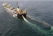 توقیف 4 کشتی صید ترال در بندرعباس و دستگیری 8 تبعه بیگانه