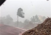 طوفانی با سرعت 50 کیلومتر اصفهان را درنوردید؛ شکستگی درختان و آسیب 2 خودرو