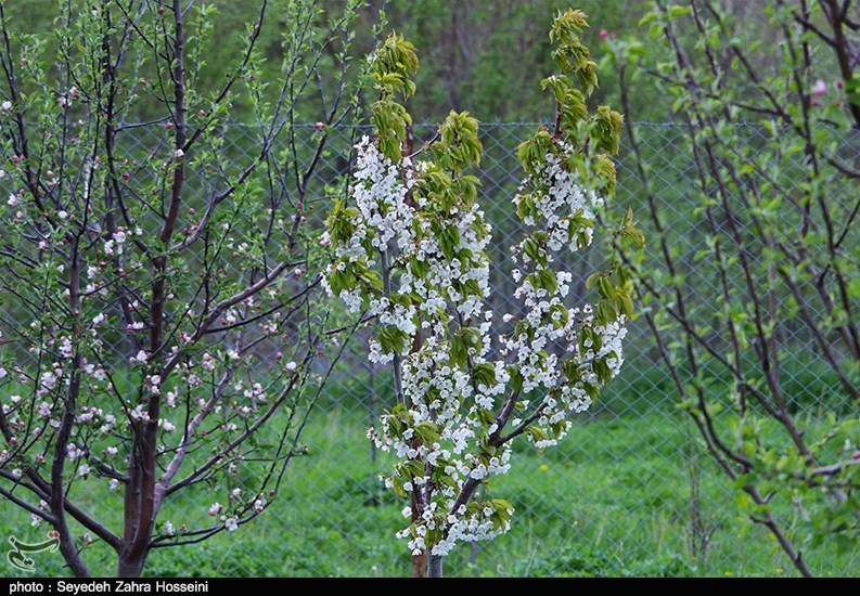 آذربایجان شرقی , 