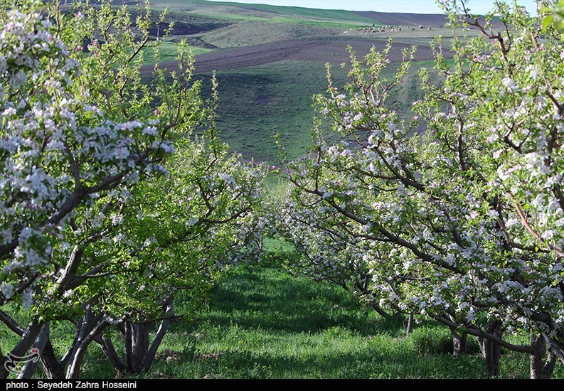 آذربایجان شرقی , 