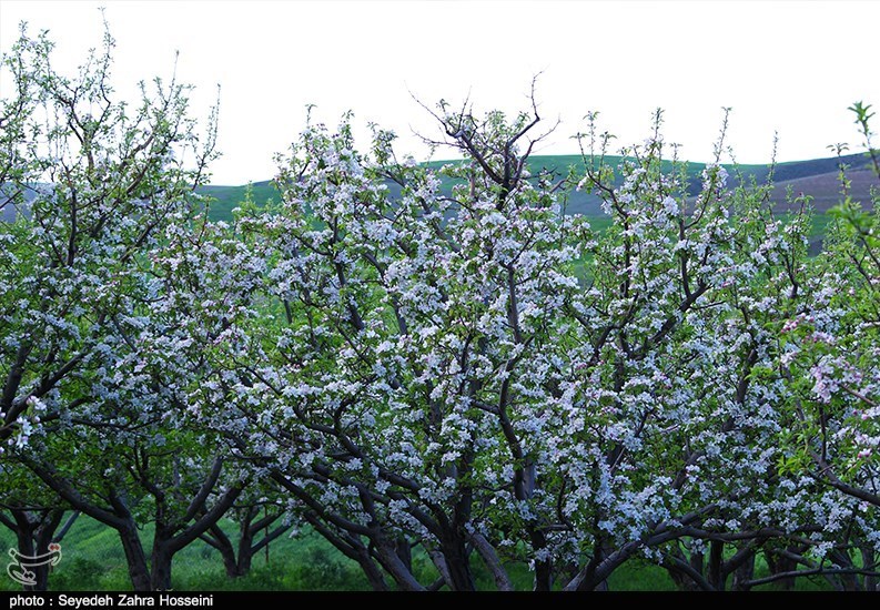 آذربایجان شرقی , 