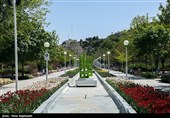 احداث 29 پارک در 29 شهر خراسان جنوبی در دستور کار شهرداران استان قرار گرفت