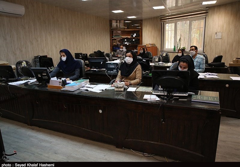 طرح آمارگیری نیروی کار در استان بوشهر به صورت غیرحضوری آغاز شد +تصاویر