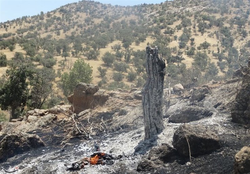 آتش به جان مراتع روستای «بادنگان» در شهرستان «دنا» افتاد