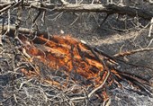 آتش‌سوزی در پارک ملی گلستان کامل اطفاء شد