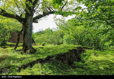 رانش زمین در روستای سلجه چال اشکور رحیم آباد -گیلان