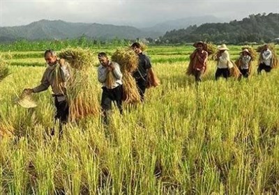 سازمانهای متولی آب علیه کشاورزان کاشانی اقدام میکنند