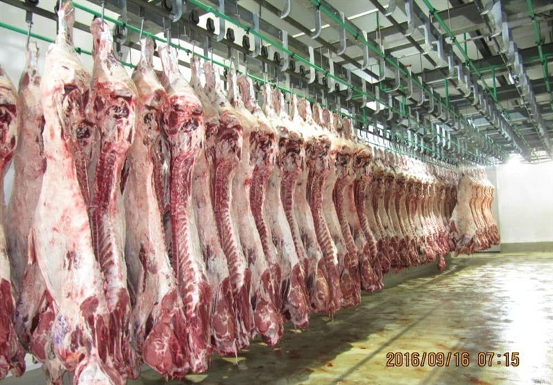 خبر خوش از کاهش تعرفه بهای کشتارگاه‌ها؛ گوشت ارزان‌تر به دست مردم در قم می‌رسد