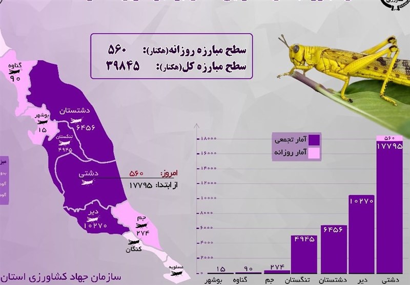 560 هکتار اراضی استان بوشهر روزانه علیه آفت ملخ سم‌پاشی می‌شود