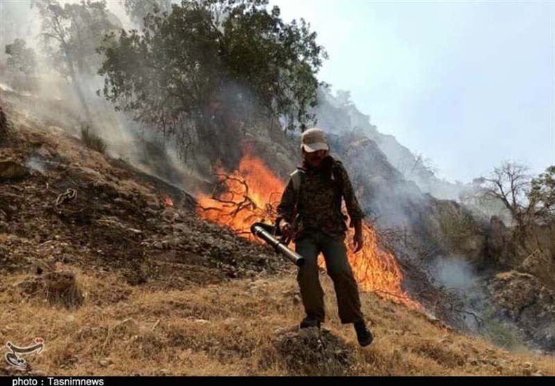 بیش از 300 هکتار از مراتع و جنگل‌های استان کرمان در یک‌ماهه گذشته در آتش سوختند